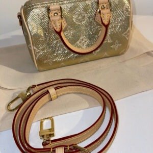 Louis Vuitton Nano Speedy Monoglam Collection