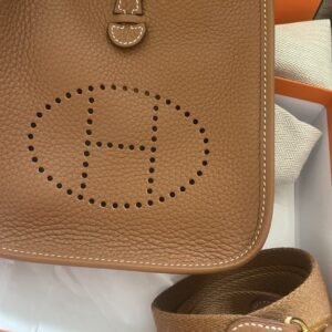 Hermes Mini Gold Evelyne GHW